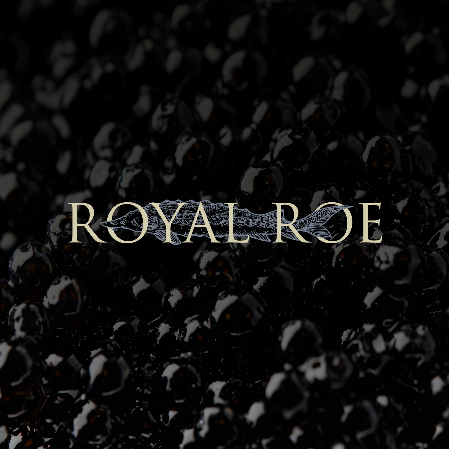 Royal Roe Premium Selection