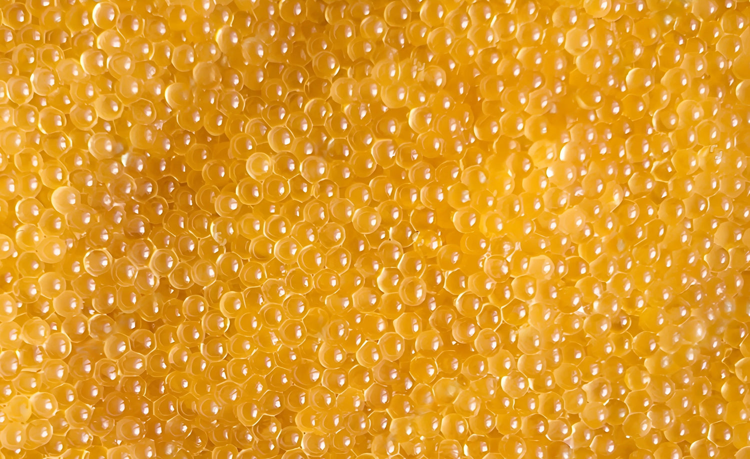 Pike Caviar