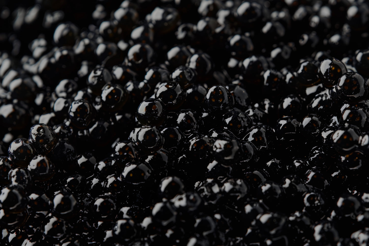 Black Caviar